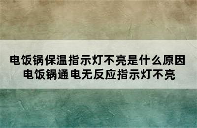 电饭锅保温指示灯不亮是什么原因 电饭锅通电无反应指示灯不亮